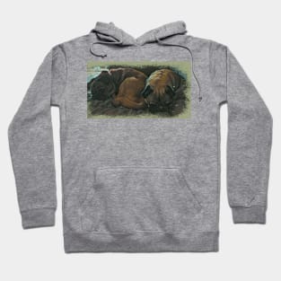 Pug Dog Friends Hoodie